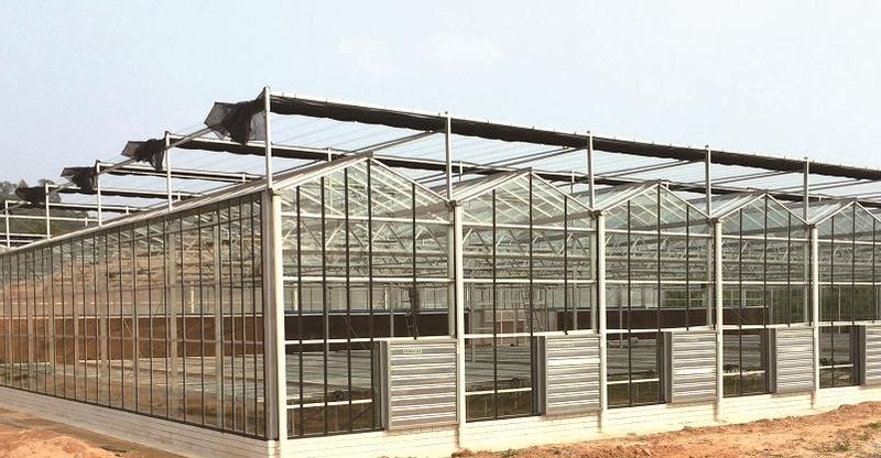 Verified China supplier - Qingzhou Shengqiang Greenhouse Technology Engineering Co., Ltd.