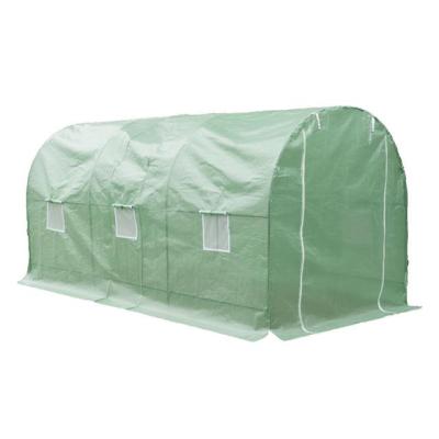 China Large Easily Assembled Outdoors Grow Garden Greenhouse Tent PE Cover Flower Greenhouse Vegetable Walk for sale