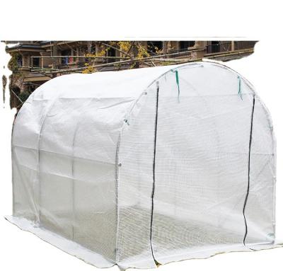 China China Low Cost PE Cover Mini Garden Greenhouse PE Cover Flower Greenhouse Tent Easily Assembled for sale