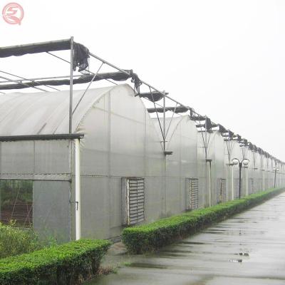 China Easy Installed Victorian Green House Multi-Span Greenhouses Steel Pipe Arch Type Agricultural Product for sale