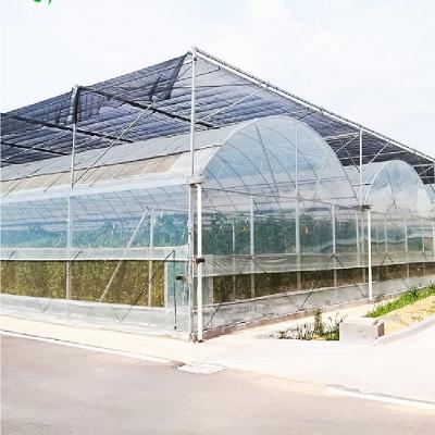 China Galvanized Steel Skeleton Vertical Plastic Film Greenhouse Agricultural Greenhouse With External Shading System Can Be Customized for sale