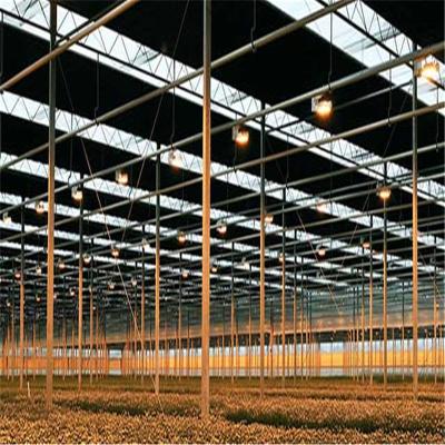 China Galvanized Steel Skeleton Industrial Hemp Fully Automated Blackout Greenhouse Gutter Connected Light Deprivation Greenhouse for sale