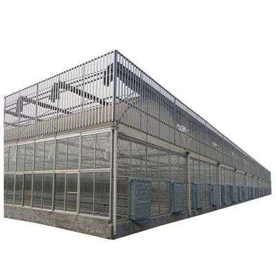 China Galvanized Steel Skeleton Commercial Light Deprivation Blackout Greenhouse With Automatic Systems for sale