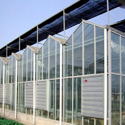 China Galvanized Steel Skeleton Vertical Glass Greenhouse Agricultural Greenhouse With External Shading System Can Be Customized for sale