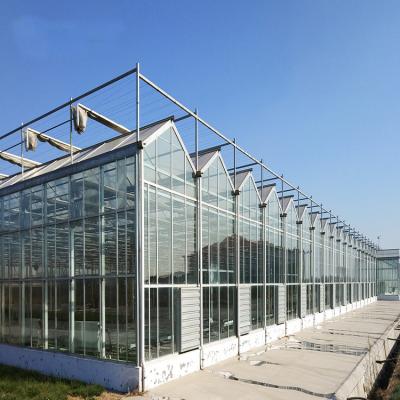 China Hot Sale Steel Skeleton Vertical Agricultural Greenhouse Factory Galvanized Glass Greenhouse Planting Vegetable for sale