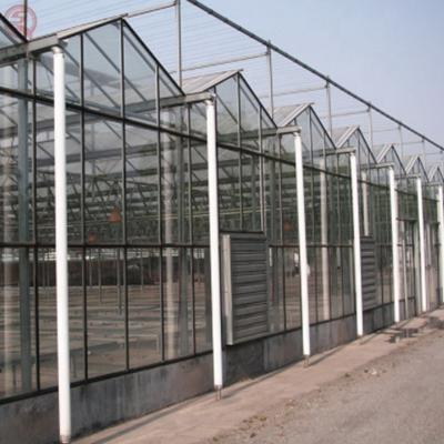 China Galvanized Steel Skeleton Greenhouse With Boiler Heating Agricultural Glass Greenhouse Factory Customized High Quality for sale