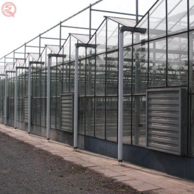 China Galvanized Steel Skeleton Greenhouse Plants Which Can Be Used For Seeding Cultivation Can Be Customized Glass Greenhouse for sale