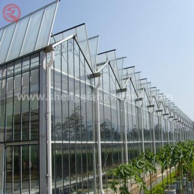 China Stable Structure Greenhouse Tunnel Greenhouse Agriculture Multi-Span Glass Greenhouse Cover for sale