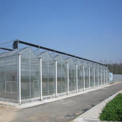 China Galvanized Steel Skeleton PC Sheet Greenhouse Plants Which Can Be Used For Seeding Cultivation Can Be Customized Polycarbonate Sheet Greenhouse for sale