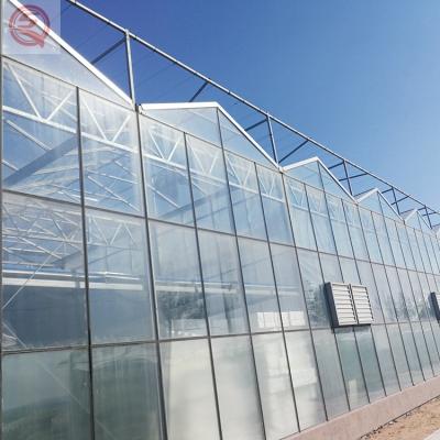 China Stable Structure Strawberry Polycarbonate Sheet Greenhouse Agriculture Green House for sale