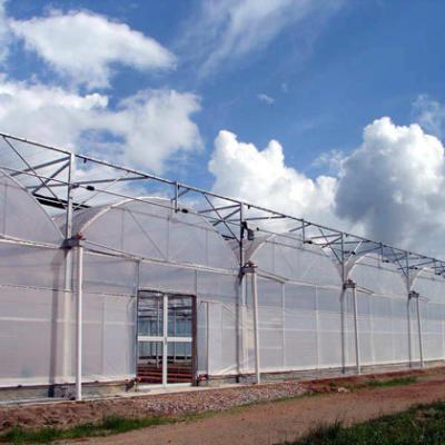 China Galvanized Steel Skeleton Plastic Film Greenhouse With Axial Fans For Vegetables / Fruits for sale