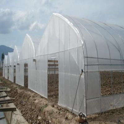 China Galvanized Steel Skeleton Vertical Agricultural Plastic Film Greenhouse With Customizable Cooling System for sale