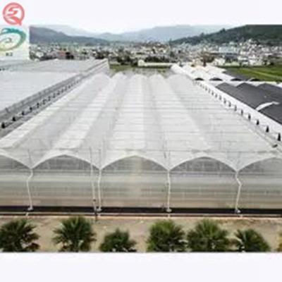 China Steel Skeleton Hot Sale Vertical Agricultural Greenhouse Galvanized Multi Span Plastic Sheet Greenhouse for sale