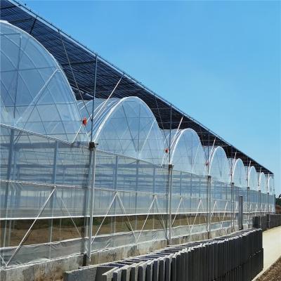 China Arched Type Agricultural Vegetable Plastic Green Home Vegetable / Flower Growing For Tomatoes For Sale Multi-span Greenhouses Film Greenhouse for sale