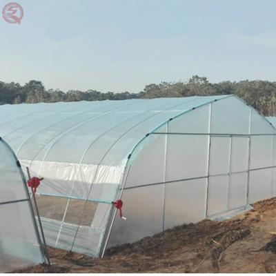 China Galvanized Steel Skeleton Greenhouse Vertical Agricultural Single Span Plastic Sheet Greenhouse With External Shading System Can Be Customized for sale