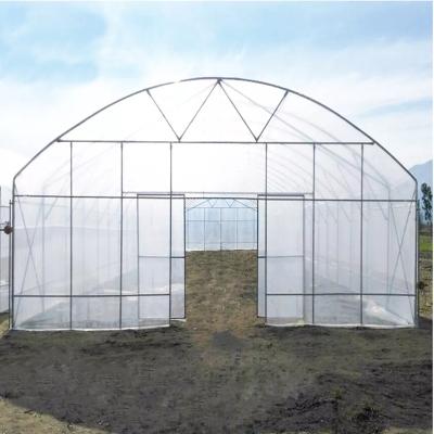 China Galvanized Steel Skeleton Tunnel Greenhouse With Side Ventilation Agricultural Greenhouse Single Span Plastic Sheet Greenhouse for sale