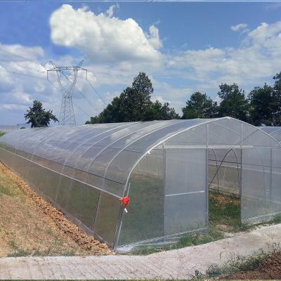 China Galvanized Steel Skeleton Customizable Plastic Tunnel Greenhouse With Heating System Agricultural Plastic Sheet Greenhouse for sale