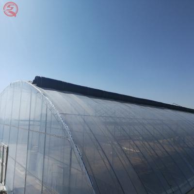 China Stable Single Span Sunlight Structure Agriculture Multi Span Tunnel Plastic Sheet Greenhouse For Tomato Strawberry for sale