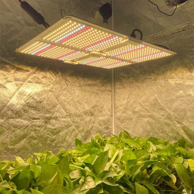 China Dimming Button Grow Shop Button Dimming IP54 6500k 301h CE Listed Full Spectrum Board Led Grow Lights for sale