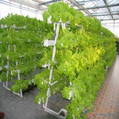 China Easy Growing PVC Channel NFT Hydroponic Growing Systems For Lettuce for sale