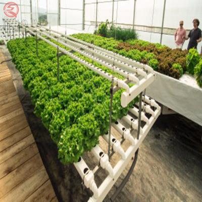 China Customizable Hydroponic Growing System For Vertical Agriculture Greenhouse Farming for sale