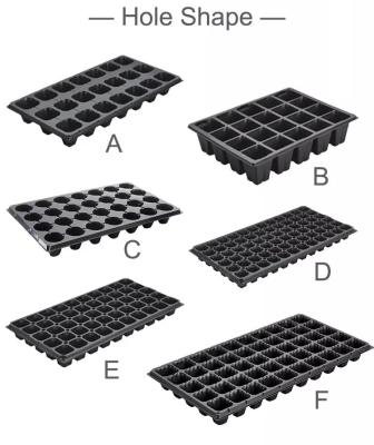 China For Vegetables Factory Price Nursery 72 98 105 128 168 200 Hydroponic Seed Sprouter Tray Plastic Nursery Seedling Trays for sale