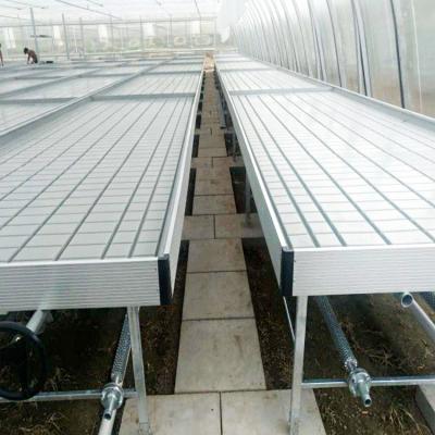 China Stable Structure China Greenhouse Seeds Growing Bench Seeding Tray Hydroponic Grow Bed for sale