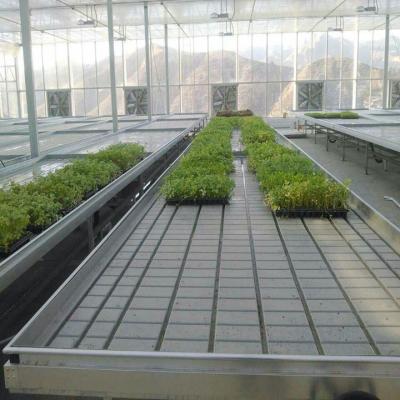 China Stable Structure Plastic Bench Horicultural Greenhouse Seed Rolling Bench For Mushroom Seed Production for sale