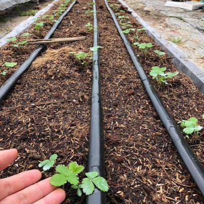 China Agriculture Drip Irrigation Hose System 1 Hectare Design Agricultural Farm Irrigation Systems Drip Tape for sale