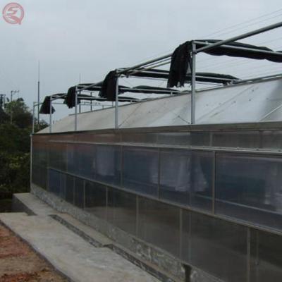 China Galvanized Steel Skeleton Light System Greenhouse With Good Quality LED Lights for sale