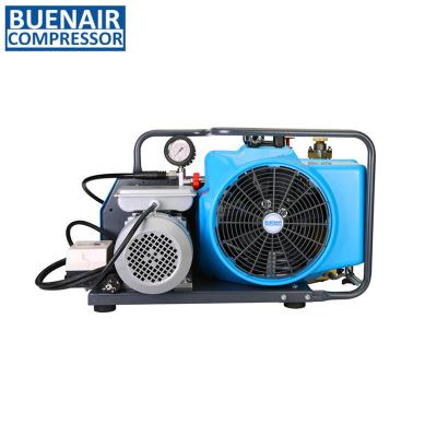 China Deluxe Breathing Air Compressor for 100L 200L 300L Scuba for sale