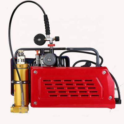 China Best Pressure Lubricated Force And Fire Or Pull Gun Pump Air Compressor for sale