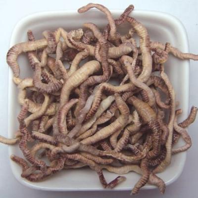 China Support Customized High-Nutrient Viable And High Protein Freeze Dried Earthworm For Fish for sale