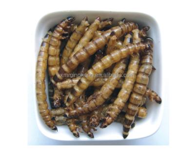 China Microwave dry superwormfor sale viable for sale