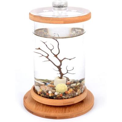 China Viable Round Mini Aquarium Decoration Small Bamboo Rotating Glass Betta Fish Tank Bowl Transparent Cover for sale