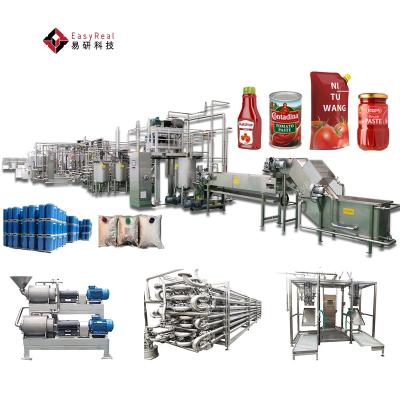 China Small Scale Automatic Line Production of Tomato Paste Tomato Sauce Processing Plant Making Machine for sale