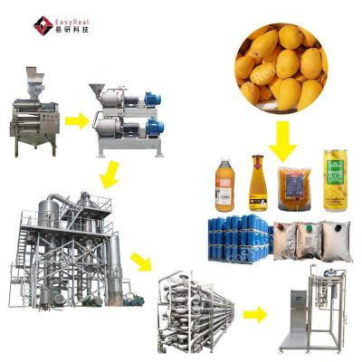 China Turnkey Industrial Mango Pulp Juicer Production Line Processing Plants Making Machine for sale