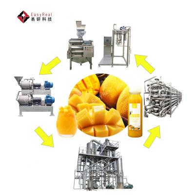 China Industrial Small Mini Line Mango Puree Juice Machine Processing Line Plant Equipment zu verkaufen