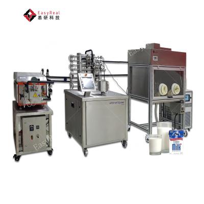 China Top Quality EasyReal Manufacturer Supply Min Small Sterilizing Machine Equipment for sale