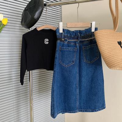 China 2023 other girls spring and Autumn New Girls treasure embroidered letter knitwear soft denim skirt two-piece set for sale