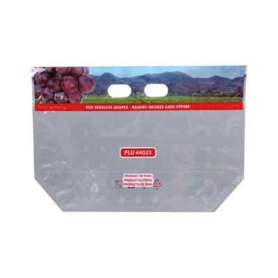 China Clean And Safe Moisture Proof Protective Fruit Bag Moisture Proof Picking Bags For Fruit for sale