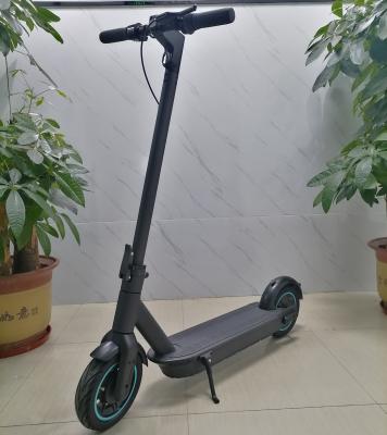 China Unisex Customize 350w 10 Inch Foldable Electric Scooter For Adults 36V 12.5AH EU Warehouse for sale