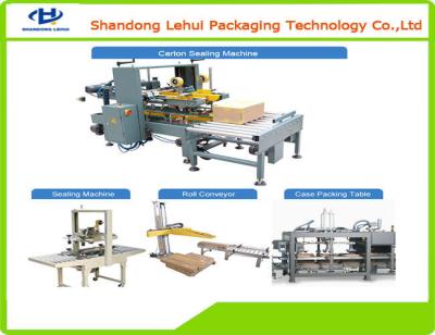 China High Precision Case Packer Machine Automatic Case Packing Equipment for sale