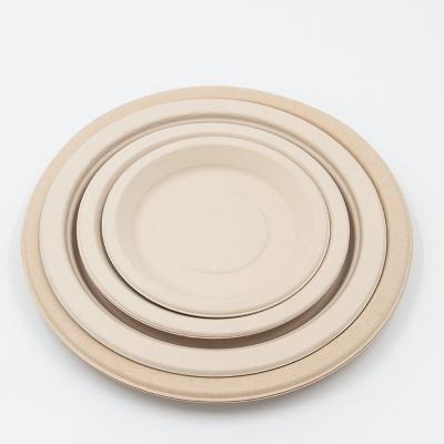 China Back to School Hot Selling Natural Bagasse Dinner Plates Sugarcane Fiber Dish Wedding Bamboo Paper Plates for sale