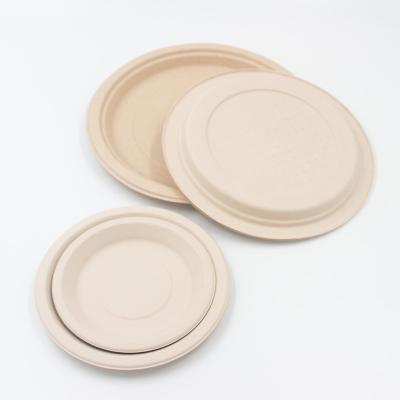 China Back To School Hot Selling Biodegradable Bamboo Fiber 10 Inch Disposable Dinnerware Round Dish for sale