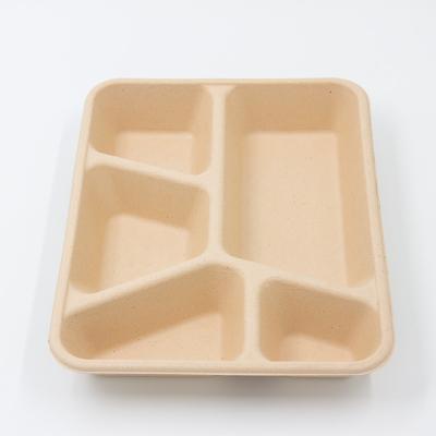 China Countertop Food Containers Biodegradable Eco - Friendly Disposable Lunch Box for sale