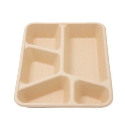 China Countertop 5 Compartment Packing Eco Friendly Biodegradable Bamboo Fiber Bento Lunch Box Takeout Food Container for sale