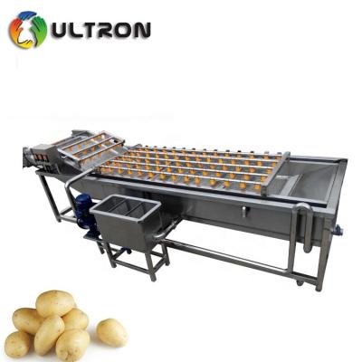 China Melon Horseradish Mung Bean Sprout Peanut Bubble Washing No Adverse Effect Material Cleaning Machine à venda