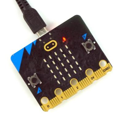 Cina Micro: V2 corredo pungente del pocket computer del bordo DIY in vendita