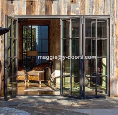 China Steel Modern Bi Fold Door French Doors Folding Sliding Door With Sidelight And Transom for sale